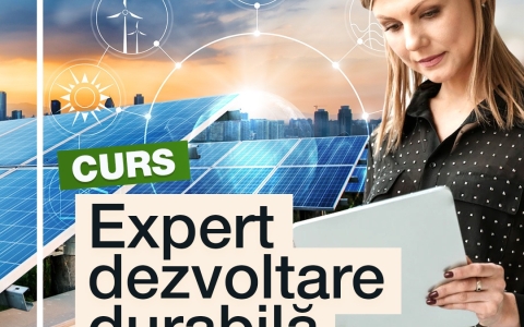 Servicii